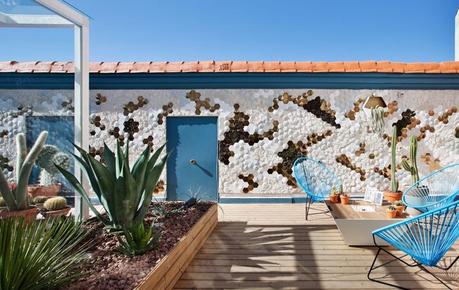 cactus, suculentas y xerofíticas desert city