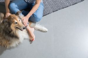 Cerámica con acabado antibacteriano Biosafe Tile, de Roca Tile