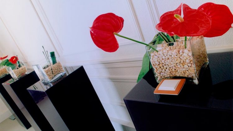 Espacio Simon en Casa Decor Madrid 2003