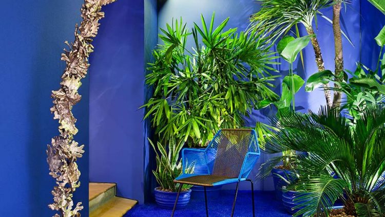 Pinturas Montó, un mundo de color para los profesionales del interiorismo