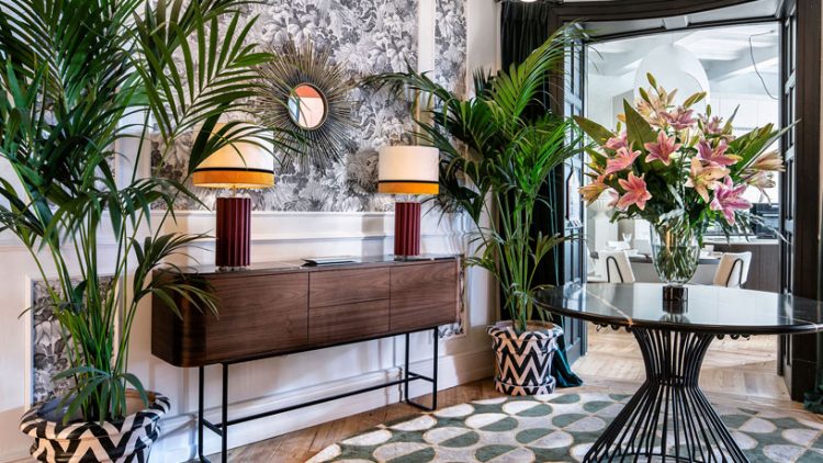 Plantas de interior para convertir la casa en un pequeño oasis