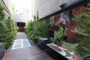 Patio interior "Con los cinco sentidos"