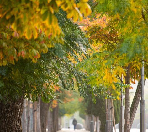 Del Prado Viejo al Sir Agustín: siglos de historia en el corazón de Madrid